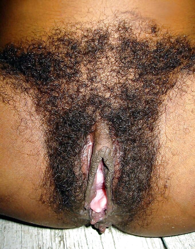 Hairy Pussy Pictures Wonderful Ebony And Unshaved Labia